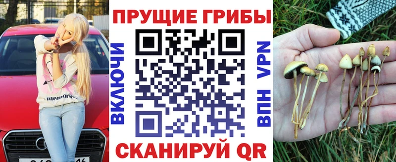 Галлюциногенные грибы GOLDEN TEACHER ОМГ ОМГ зеркало Неман